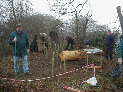 New hedge is planted